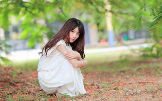 ia_300000732.jpg