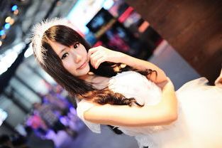 ia_300000878.jpg