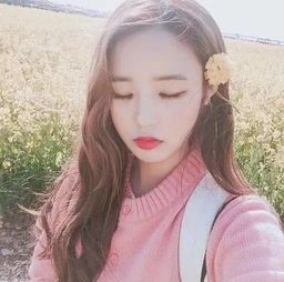 ia_200000168.jpg