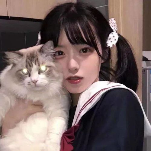 ia_200001139.jpg
