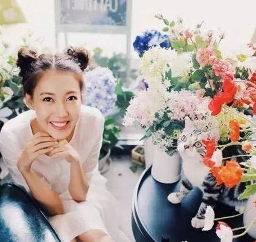 ia_200000297.jpg