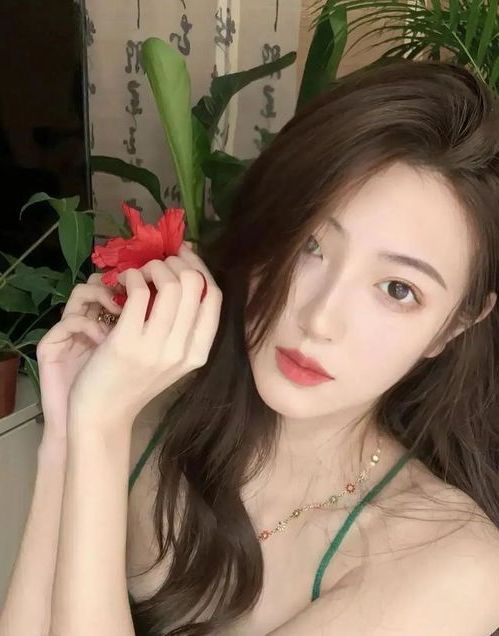 10062.jpg