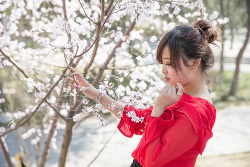 202502181739844312162822.jpg 10551.jpg