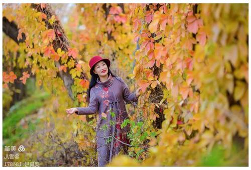 202502191739959274603406.jpg 10737.jpg