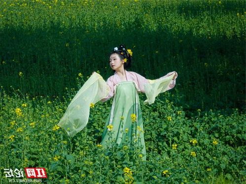 202503081741413540578681.jpg 10138.jpg