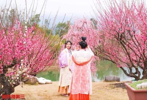 202503101741600366116600.jpg 10261.jpg