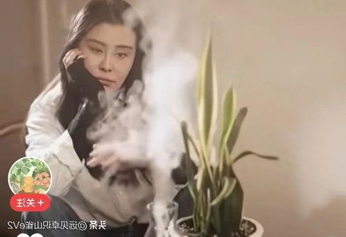 202505071746583351283553.jpg 10221.jpg