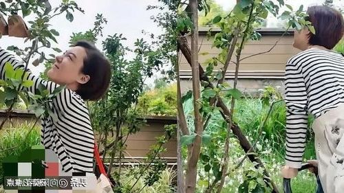 202506081749348087743102.jpg 10192.jpg