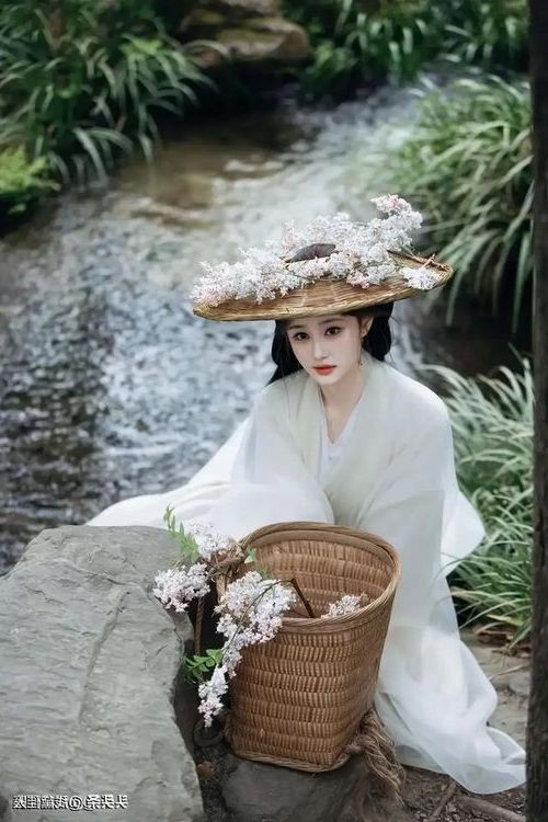 202602211771637374732873.jpg 10290.jpg