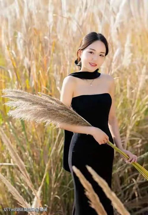 202603021772435285450954.jpg 10163.jpg