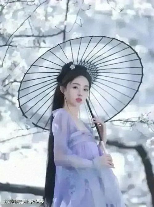 202603251774409452685716.jpg 10264 (1).jpg