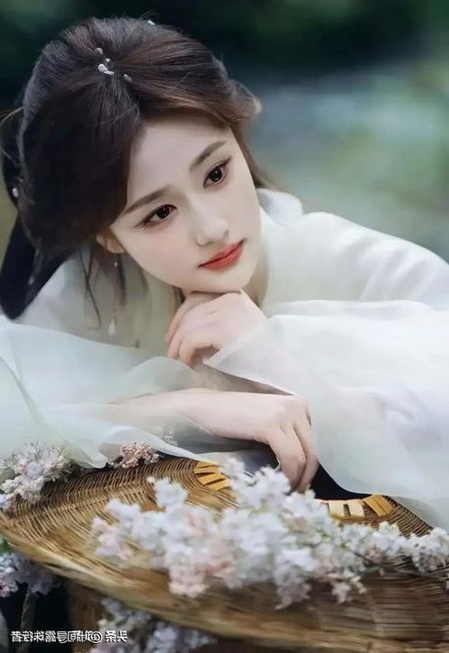 202603311774935941577756.jpg 10233.jpg