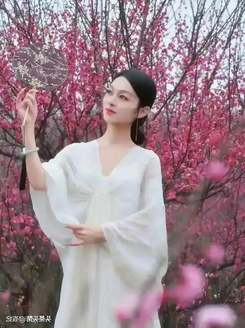 202604081775630423741082.jpg 10286.jpg